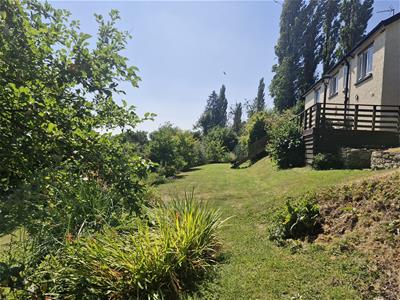Picture 19